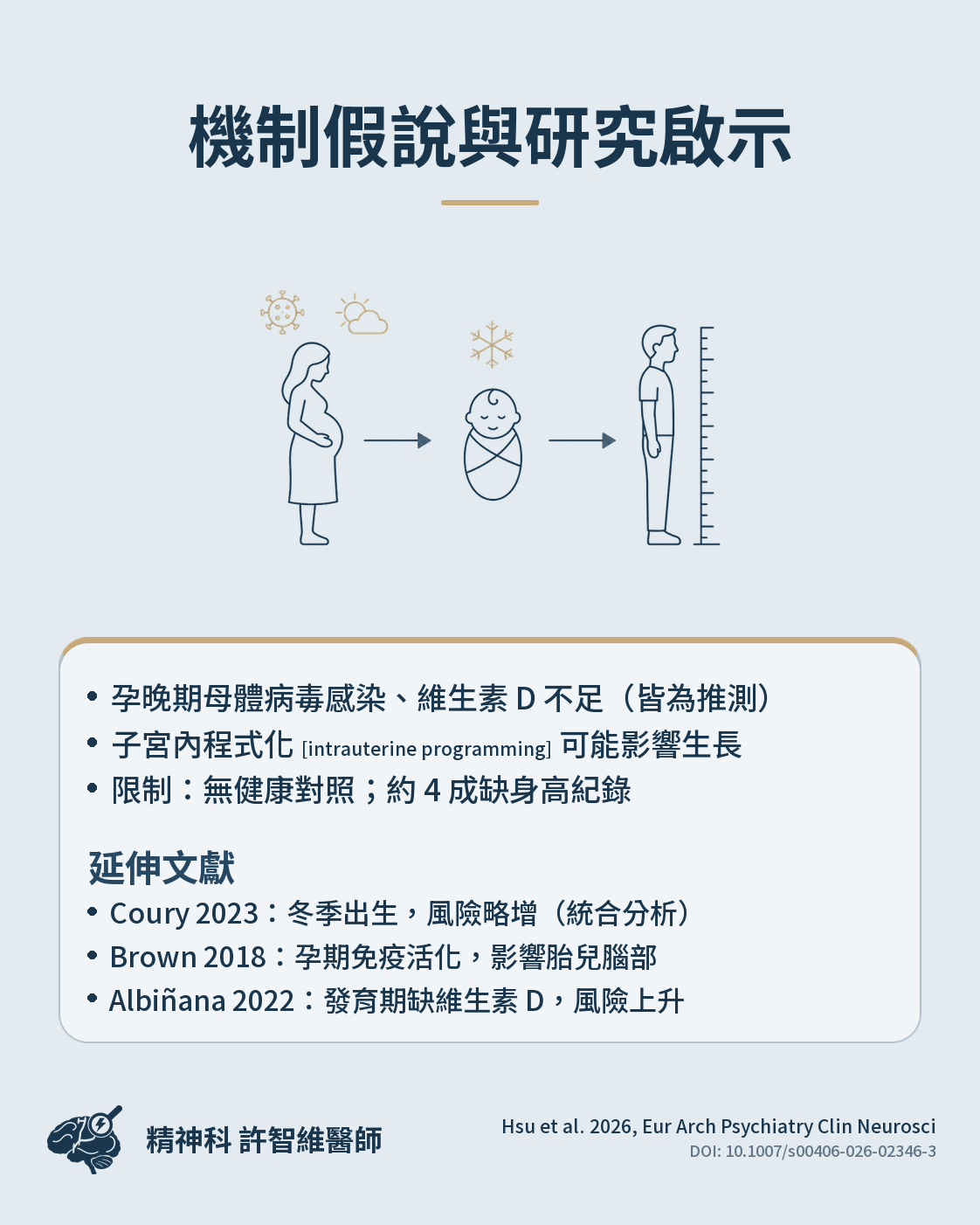 機制假說與研究啟示